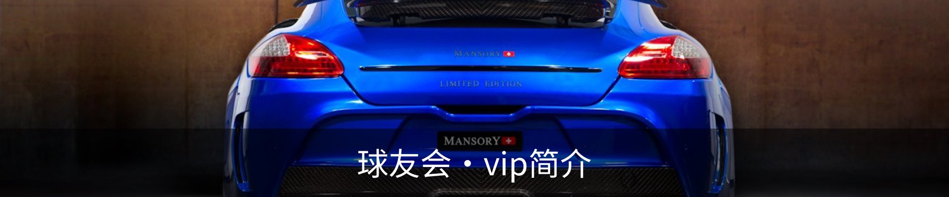 球友会·vip简介